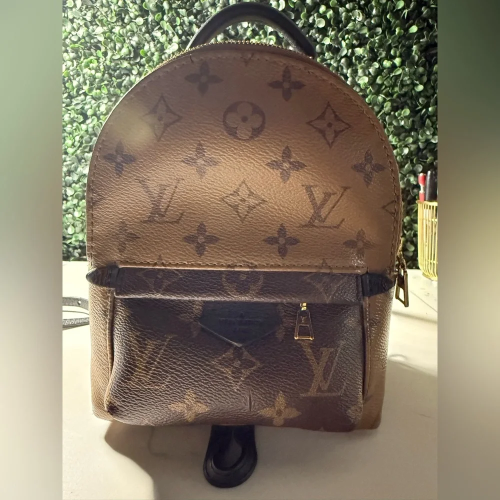 Louis Vuitton LV reverse Monogram Palm Springs Mini - Picture 1 of 16